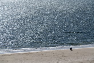 Strollers on the beach near Zoutelande Province of Zeeland, Walcheren Peninsula, Netherlands