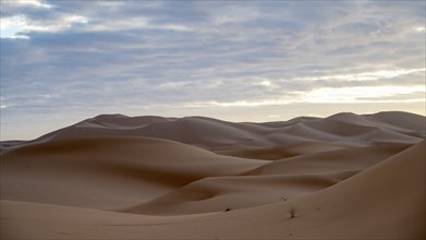 Sunrise in the desert, dunes, Erg Chebbi, Sahara, Merzouga, Morocco, Africa