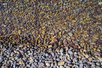 Close-up of colourful pebbles with textures and patterns, Lambi beach, pebble beach, Patmos,