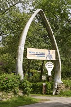 Friesen Museum, blue whale lower jaw, Wyk, Föhr, North Sea island, North Friesland,