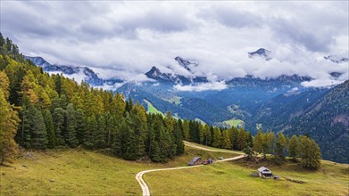 Forest work on the alpine meadow Wuhnleger, in the background the peaks of the rose garden,