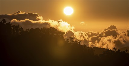 Evening mood, clouds over cloud forest, mountain rainforest, Parque Nacional Los Quetzales, Costa