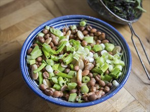 Close up looking down close up fresh mixed bean and chopped spring onion salad in bowl