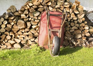 Old red metal wheelbarrow leaning against pile wood logs in garden, Cherhill, Wiltshire, England,