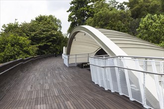 Modern wooden bridge over the jungle. singapore