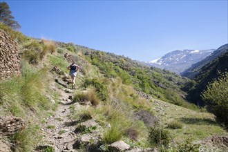 Woman hiker walking in the River Rio Poqueira gorge valley, High Alpujarras, Sierra Nevada, Granada