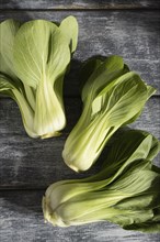 Fresh green bok choy or pac choi chinese cabbage on a gray wooden background. Hard light, contrast.