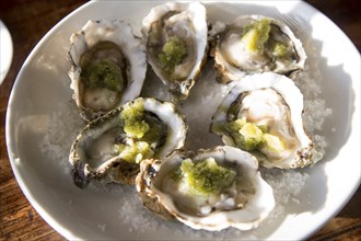 Half a dozen oysters in shells with granita dressing