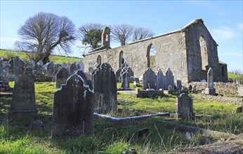 Seventeenth century Kilcredan church ruins and graveyard, County Cork, Ireland, Europe