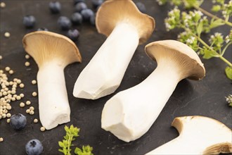 King Oyster mushrooms or Eringi (Pleurotus eryngii) on black concrete background with blueberry,