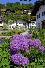 Gries, Mittenwald, Werdenfelser Land, Upper Bavaria, Bavaria, Germany, Europe