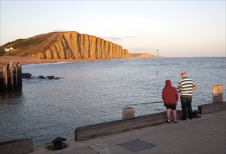 Golden afternoon light on sandstone cliffs, East Cliffs, West Bay, Bridport, Dorset, England, UK