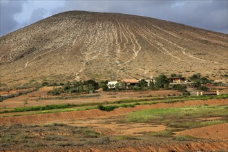 Farm at base of old volcano cone, near Tetir, Fuerteventura, Canary Islands, Spain, Europe