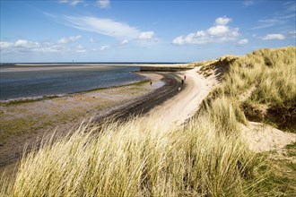 Sandy beach at low tide, Budle Bay, Northumberland, England, UK