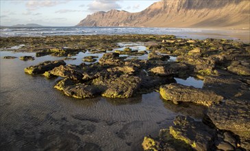 Lanzarote, Canary islands, SpainLate afternoon light on beach and cliffs La Caleta de Famara,