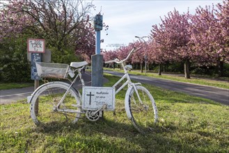 White bicycle as a symbol for fatal cycling accident, ADFC commemorates cyclists killed, Magdeburg,