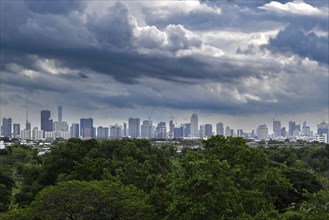 Skyline and trees, Bangkok, Thailand, Asia