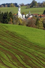 Green meadow with traces of tractor, parish church St. Ägidius, Gmund am Tegernsee, Mangfall