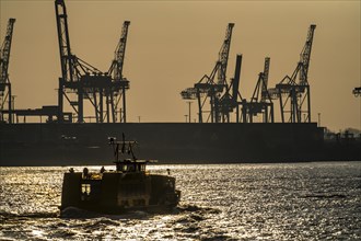 Port of Hamburg, HHLA Container Terminal Burchardkai, Athabaskakai, on the Elbe, Hadag harbour