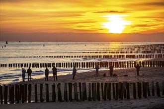 Sunset on the beach of Zoutelande, beach with wooden pile breakwaters, Zeeland, Netherlands