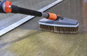 Clean patio roof, canopy with brush and telescopic handle, Germany, Europe