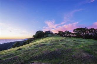 Sunrise above clouds and green hills at Fanal mountain, Madeira island, Portugal, Europe