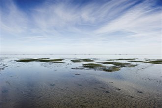 Cloud reflection in the mudflats, Wyk, Föhr, North Frisia, Schleswig-Holstein, Germany, Europe