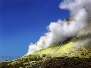 New Zealand, White Island, volcano, volcanism, geothermal area, White Island, New Zealand, Oceania