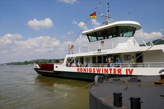 Europe, Germany, North Rhine-Westphalia, Rhine, Königswinter, Drachenfels in the Siebengebirge