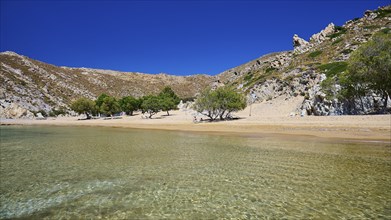 Beach with crystal clear water and golden sand, surrounded by trees and rocks under a clear blue