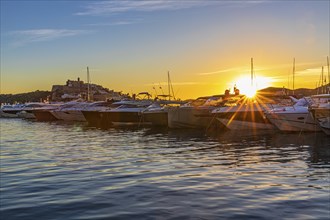 Luxury yachts under a low sun in the harbour of Eivissa, Ibiza Town, Ibiza, Balearic Islands,