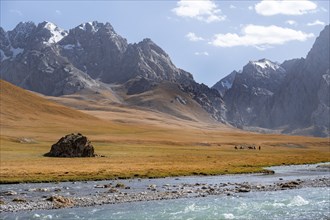 Rider in mountain landscape with yellow meadows, river Kol Suu and mountain peaks with glacier,