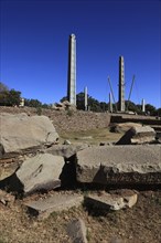 Tigray region, in the stele park of Axum, Aksum, ancient cemetery of the Axumite kings, Ethiopia,