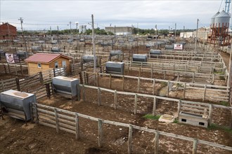 Oklahoma City, Oklahoma, Cattle pens at the Oklahoma National Stockyards. Since it was founded in