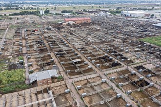 Oklahoma City, Oklahoma, The Oklahoma National Stockyards. Since it was founded in 1910, more than