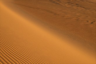 Sand dunes under a golden sunset showing fine undulating textures, Matruh, Great Sand Sea, Libyan