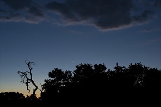 Nocturnal starry sky, night, evening sky, stars, starry sky, outdoor, nature, sunset in Botswana