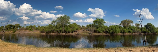 Savuti Channel which is sometimes dry for years, with dead trees in the water, climate, climate