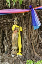 Buddhist figure in front of a tree on Phi Phi Island, wood, carving, wooden figure, Buddhism,