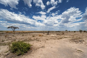 Dry landscape, drought, heat, climate, climate change, steppe, drought, heat, global warming,