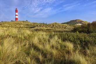 Amrum Island, landscape Germany, dune, dunes, grass, structure, shape, vegetation, lighthouse,