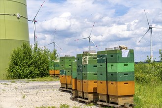 Wind farm north of Marsberg, many beehives at the foot of a wind turbine, Hochsauerlandkreis, North