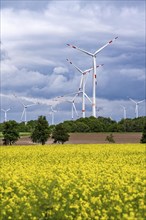 Wind farm east of Geilenkirchen, dark storm clouds, strong wind, rape field, North