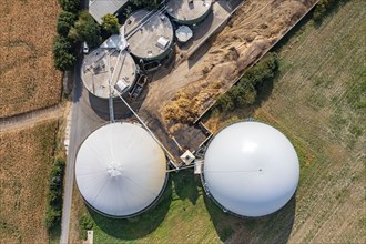 Biogas plant, gas storage, with dome, fermenter tanks for the fermentation process, use of solid