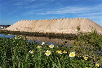 The salt pans of d'es Trenc, near Campos, Majorca, Spain, Europe