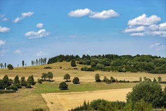 Landscape in the Volcanic Eifel, near Daun, Eifel, Rhineland-Palatinate, Germany, Europe