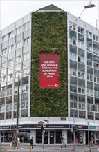 Green façade on a building, Areo Treibhaus office building, on Graf-Adolf-Straße in Düsseldorf, 100