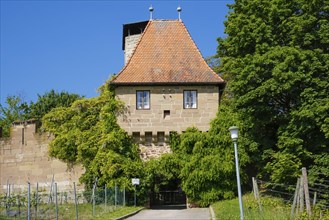 Hohenbeilstein Castle, hilltop castle, Beilstein, Heilbronn district, Baden-Württemberg, Germany,