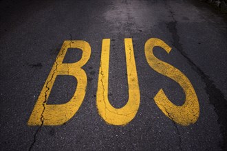 Bus lane, marking on road reserved lane for bus, traffic, Schenna, Scena, South Tyrol, Autonomous