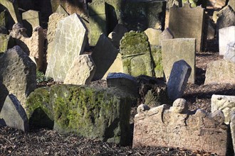 The Old Jewish Cemetery in the Josefov district is one of the most historically significant Jewish